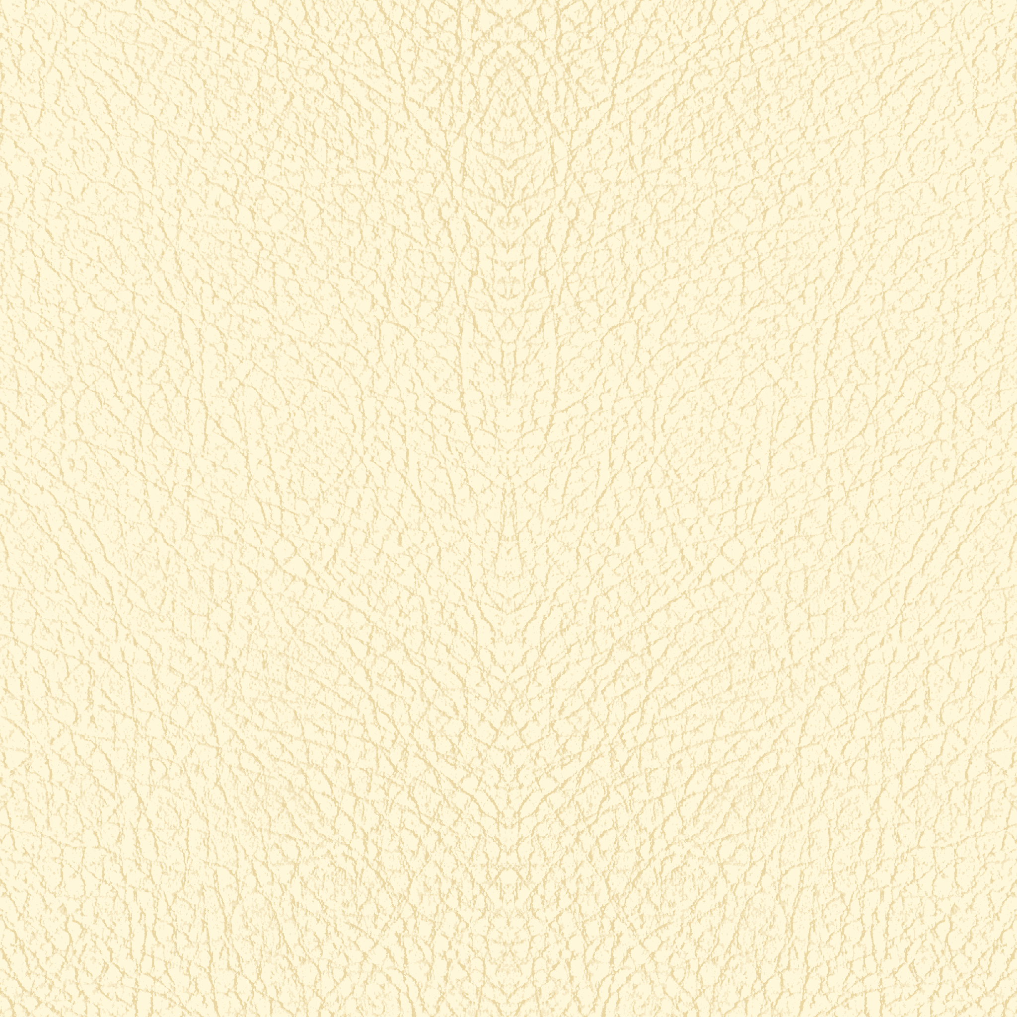 Cream/Pale Yellow