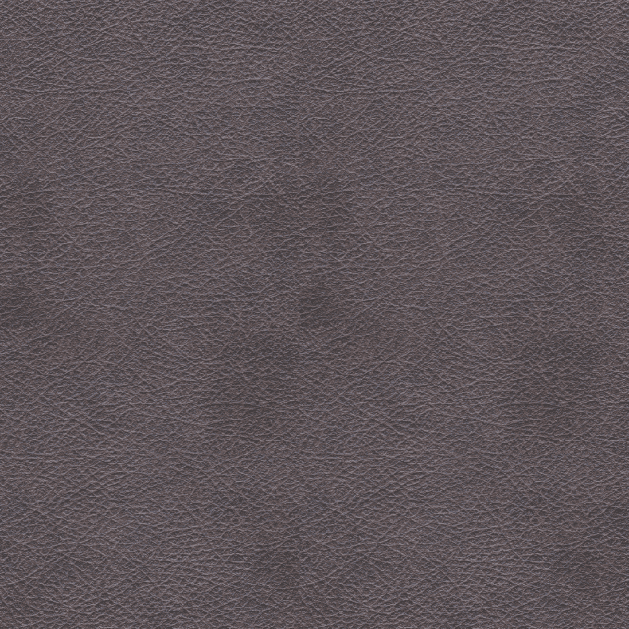 Dark Charcoal/Grey