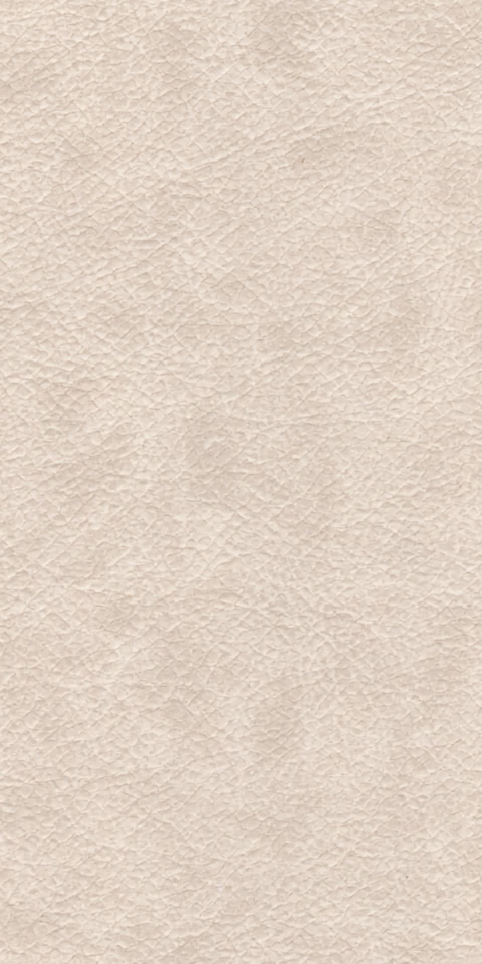 Light Beige/Cream