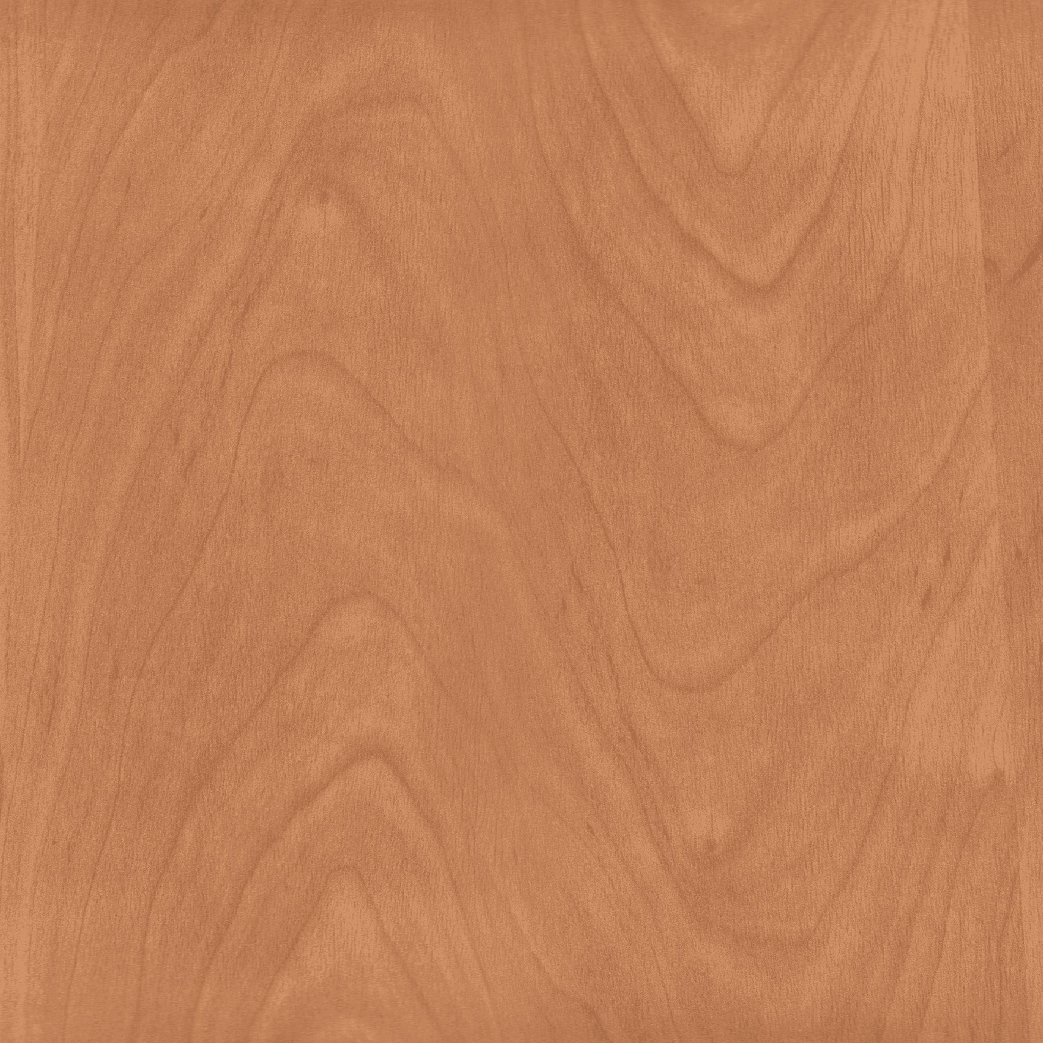 Light Blonde Wood
